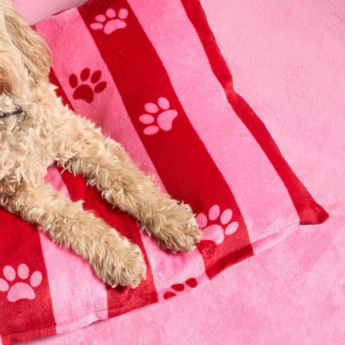 Stripe Paw Print Pet Bed 🇬🇧