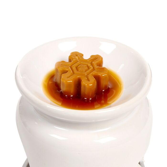 Handmade Wax Melt Set of 5 - Winter Spice Christmas Botanicals 🇬🇧
