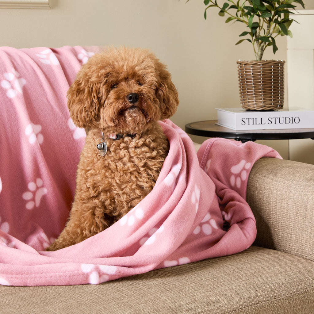 Pet Paw Print Fleece Throw 🇬🇧