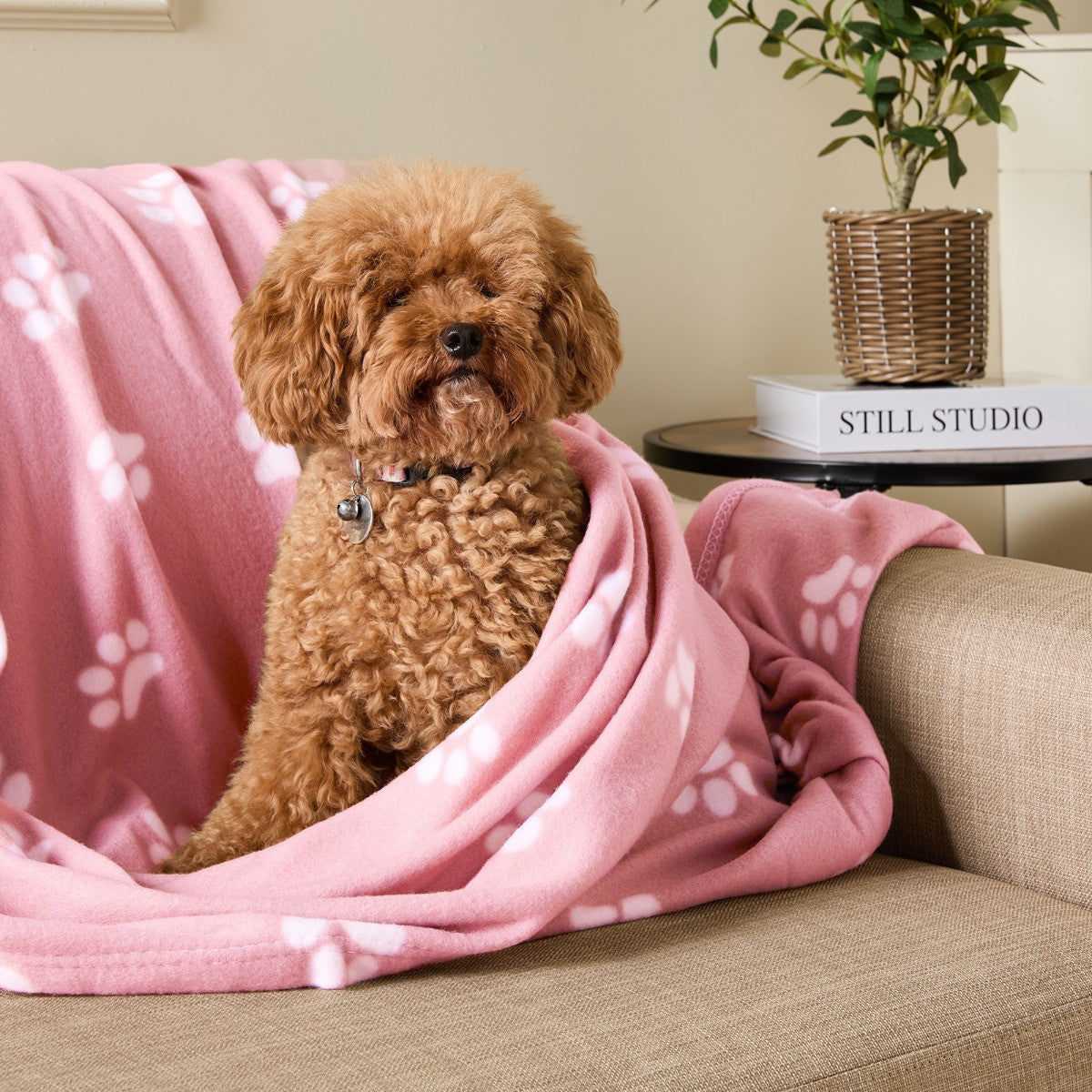 Pet Paw Print Fleece Throw 🇬🇧