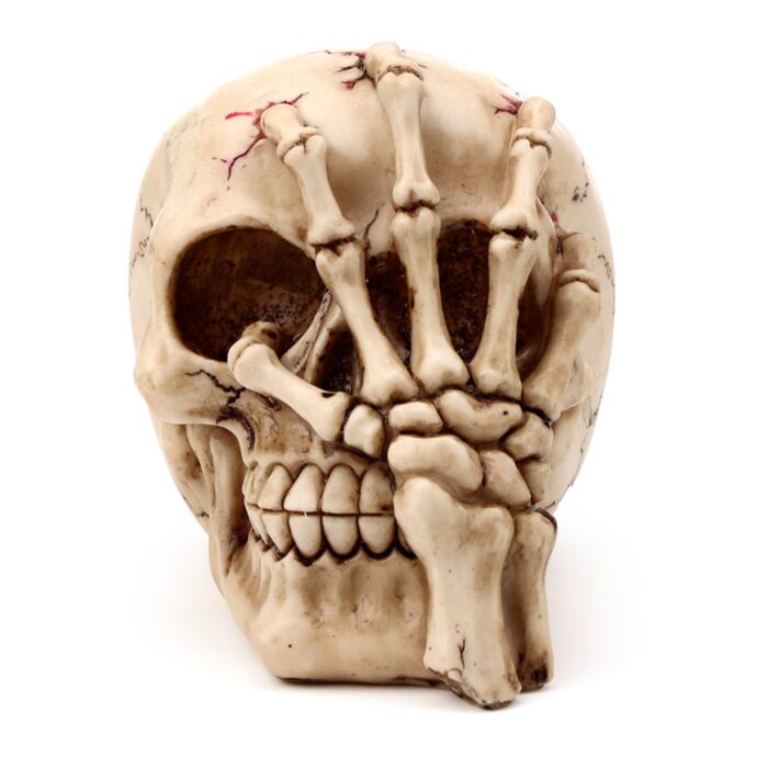 Gothic Skull Decoration - Skull Head with Skeleton Claw Hand 🇬🇧