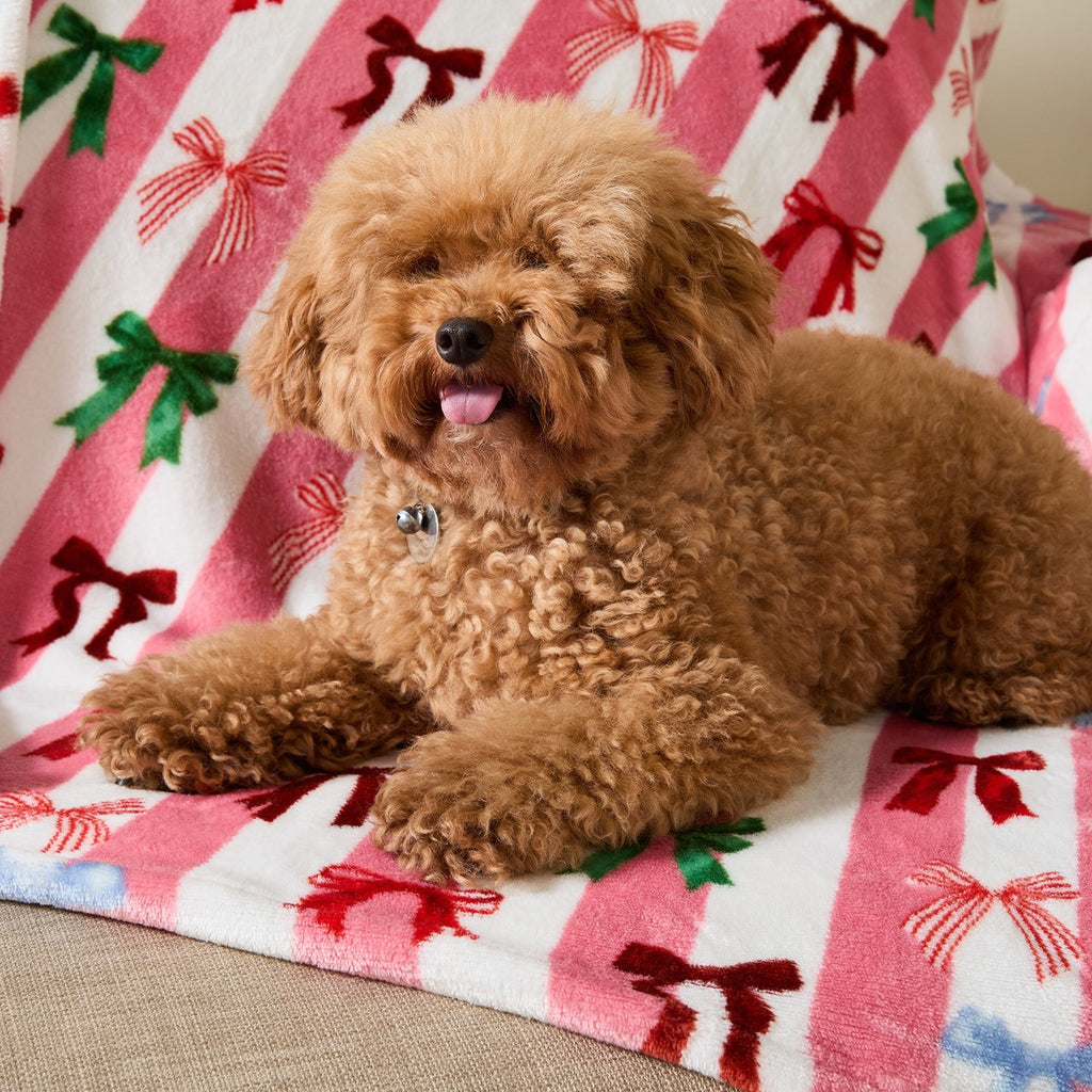 Pet Multi Bow Stripe Sherpa Reverse Throw - Pink/White 🇬🇧