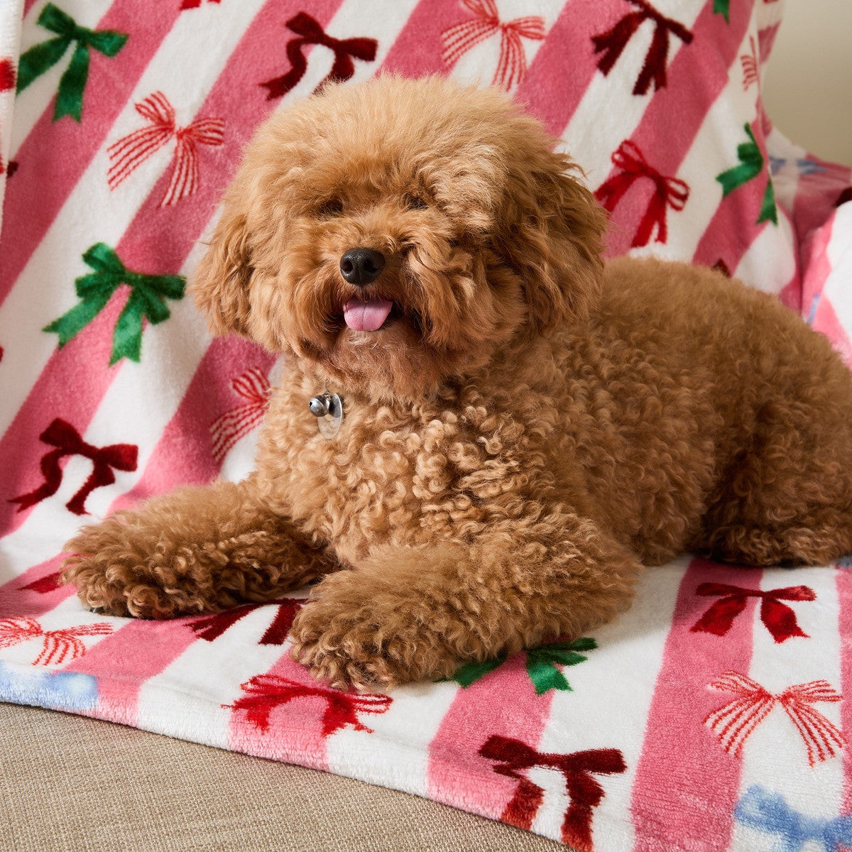 Pet Multi Bow Stripe Sherpa Reverse Throw - Pink/White 🇬🇧