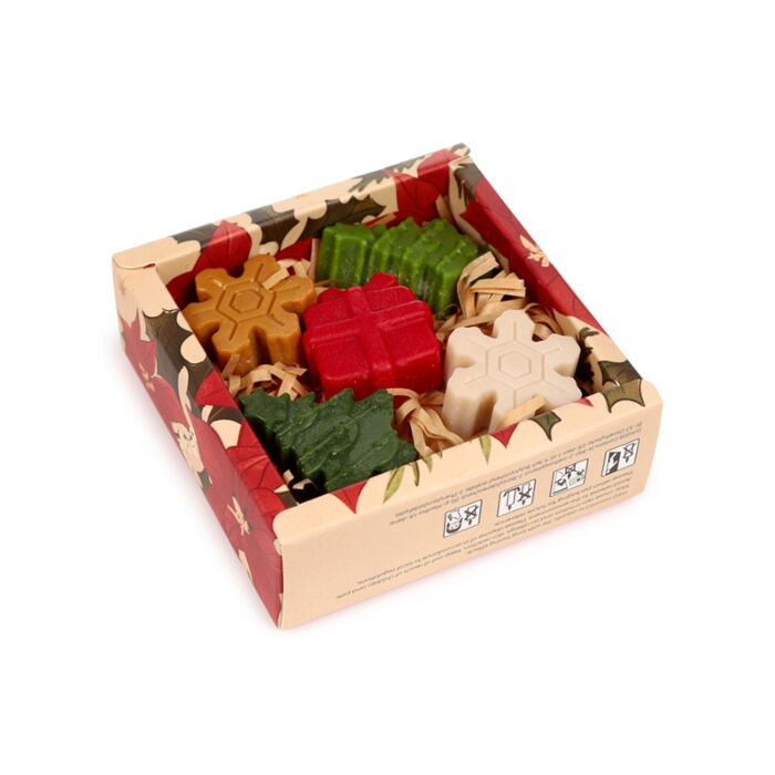 Handmade Wax Melt Set of 5 - Winter Spice Christmas Botanicals 🇬🇧