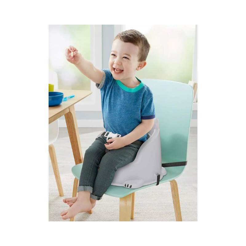Fisher Price Hungry Raccoon Booster Seat 🇬🇧