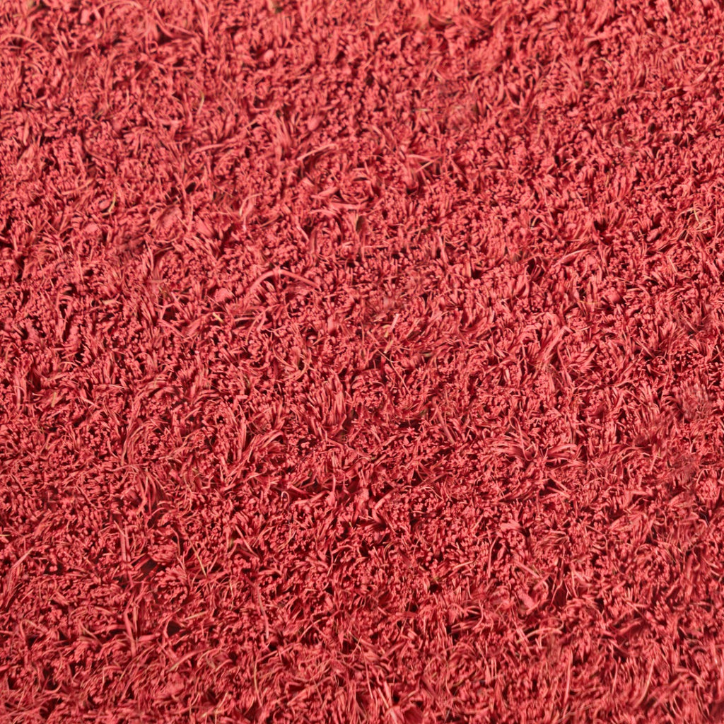 Bow Print Coir Mat 🇬🇧