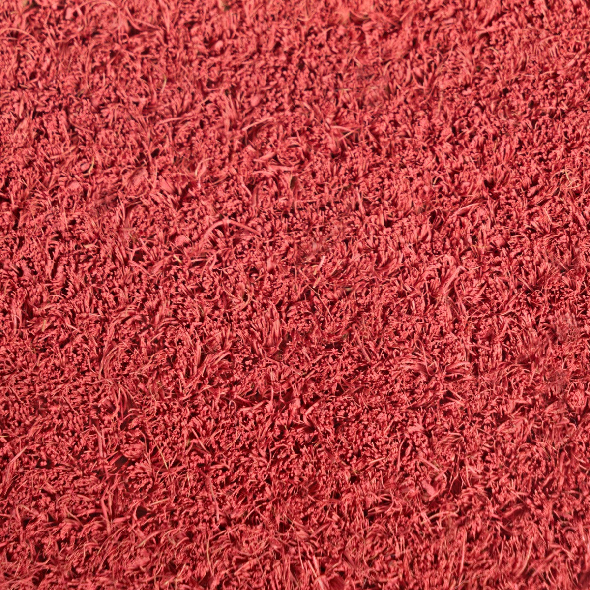 Bow Print Coir Mat 🇬🇧