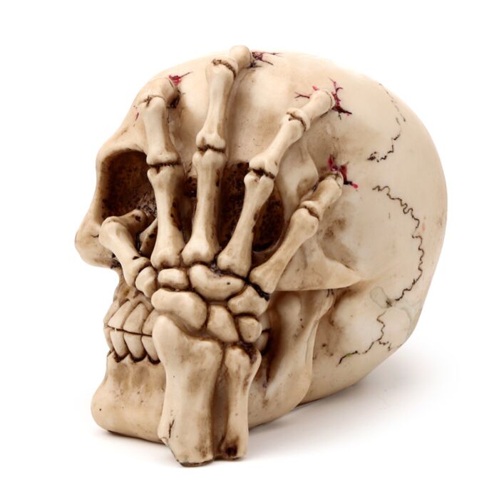 Gothic Skull Decoration - Skull Head with Skeleton Claw Hand 🇬🇧