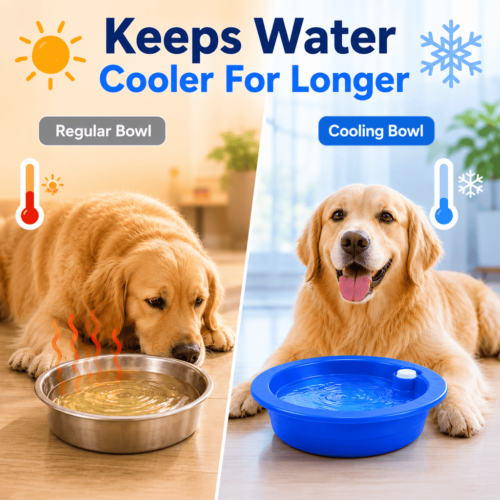 Dog Cat Cooling Bowl Water Feeding Bowl Cooling Drinker Station, Freeze Activated Hydration Dish for Hot Summer 🇬🇧