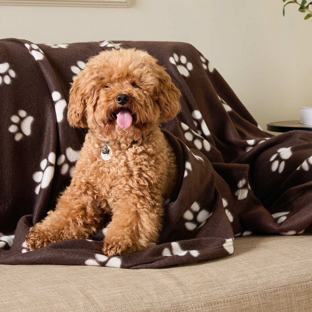 Pet Paw Print Fleece Throw 🇬🇧