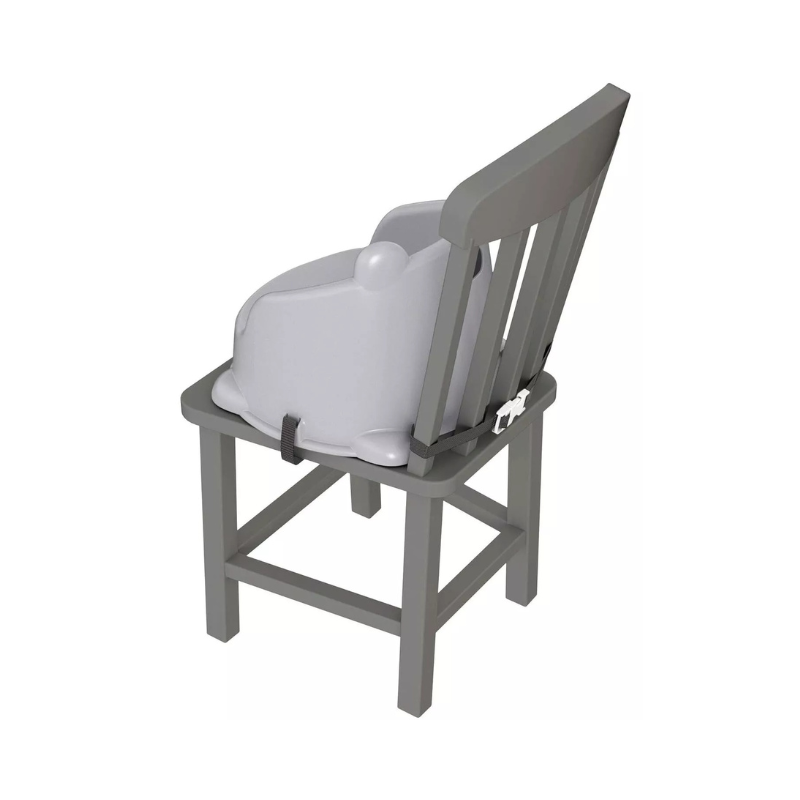 Fisher Price Hungry Raccoon Booster Seat 🇬🇧