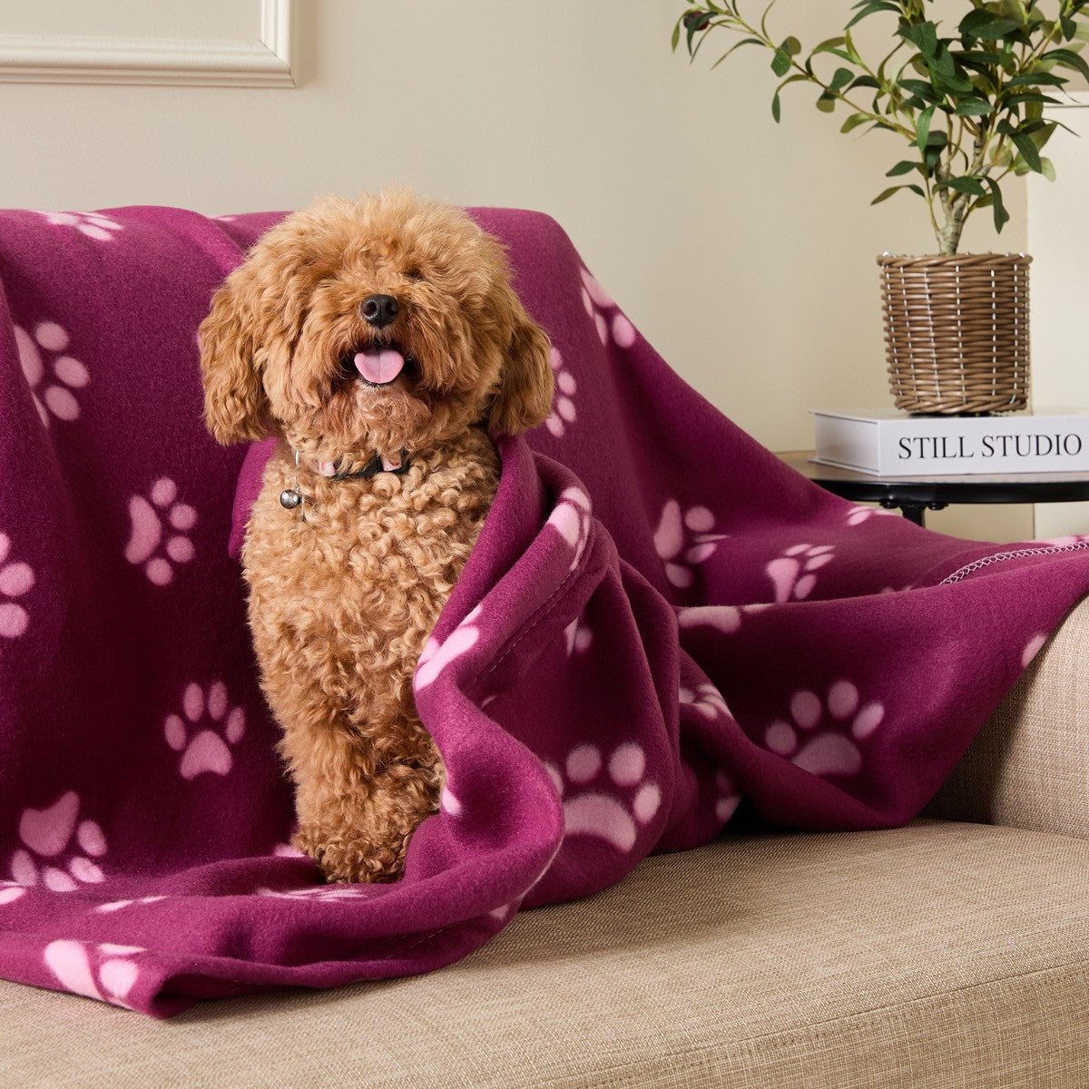 Pet Paw Print Fleece Throw 🇬🇧