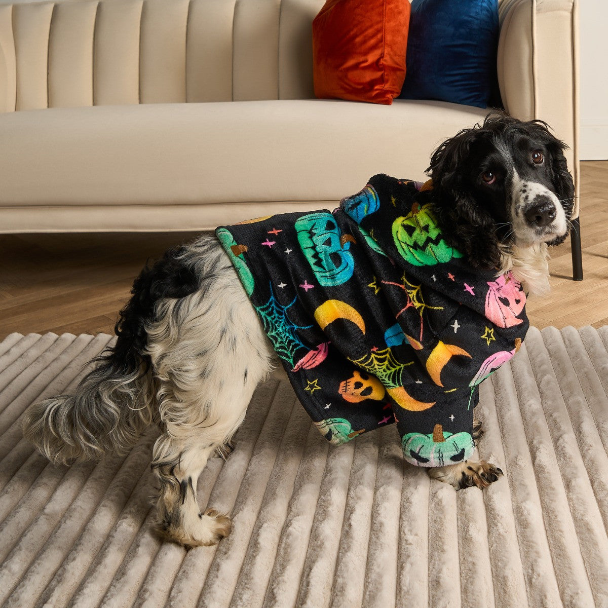 Neon Halloween Print Dog Hoodie Blanket - Black 🇬🇧