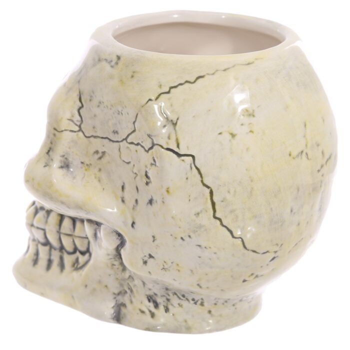 Ancient Skull Head Ceramic Shaped Mug 🇬🇧