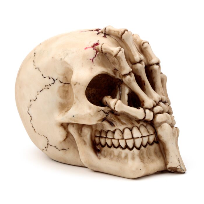 Gothic Skull Decoration - Skull Head with Skeleton Claw Hand 🇬🇧