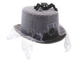 Spider and Web Top Hat 🇬🇧