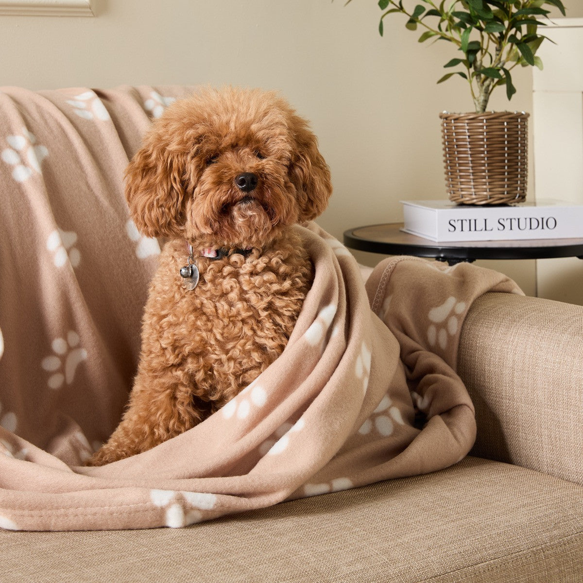 Pet Paw Print Fleece Throw 🇬🇧