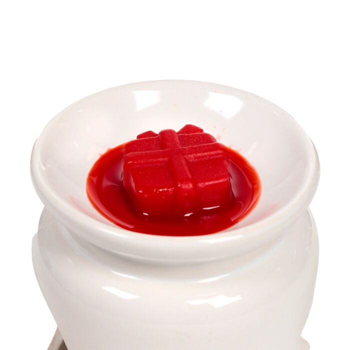 Handmade Wax Melt Set of 5 - Winter Spice Christmas Botanicals 🇬🇧