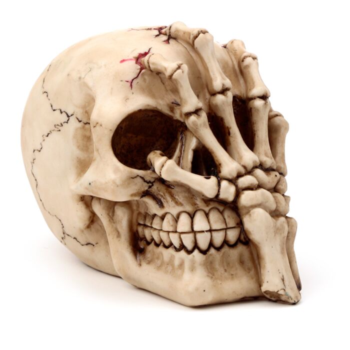 Gothic Skull Decoration - Skull Head with Skeleton Claw Hand 🇬🇧