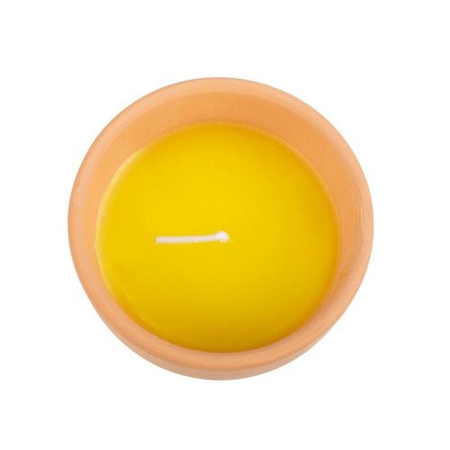 Gardener of the Year Citronella Candle 🇬🇧