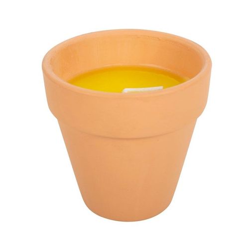 Gardener of the Year Citronella Candle 🇬🇧