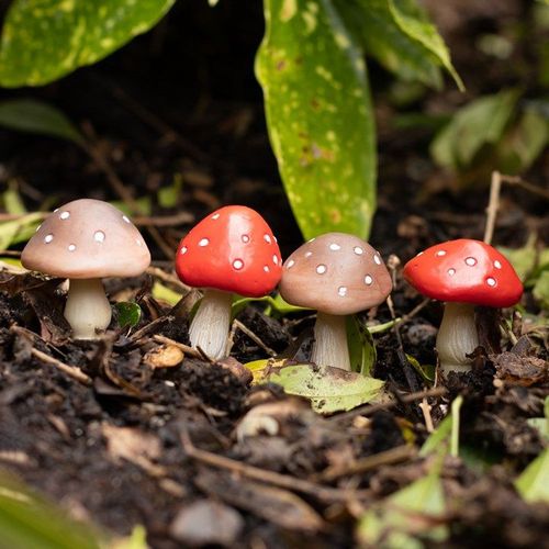 Set of 4 Mini Mushroom Plant Pot Pals 🇬🇧