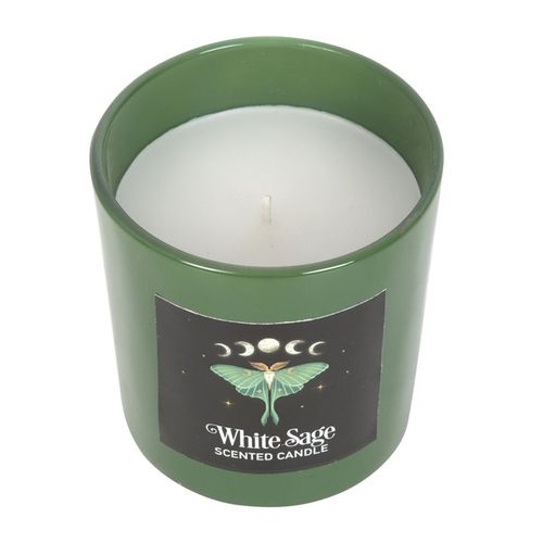Luna Moth White Sage Candle 🇬🇧