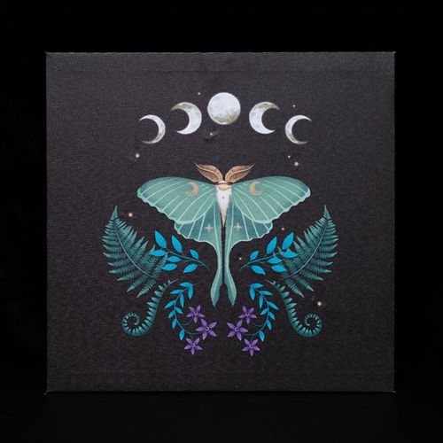 Luna Moth Light Up Canvas Plaque 🇬🇧