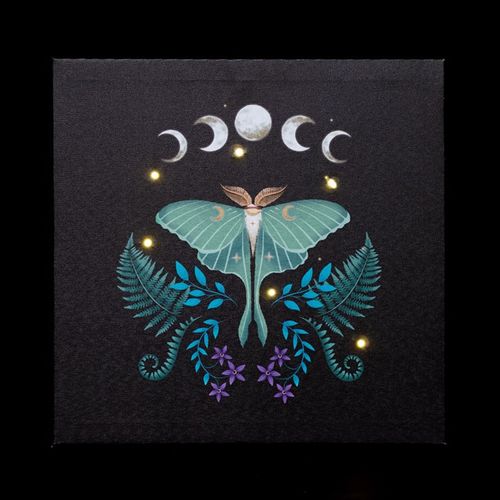 Luna Moth Light Up Canvas Plaque 🇬🇧