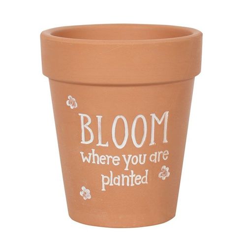 Bloom Where You Are Planted Terracotta Plant Pot 🇬🇧