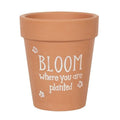 Bloom Where You Are Planted Terracotta Plant Pot 🇬🇧