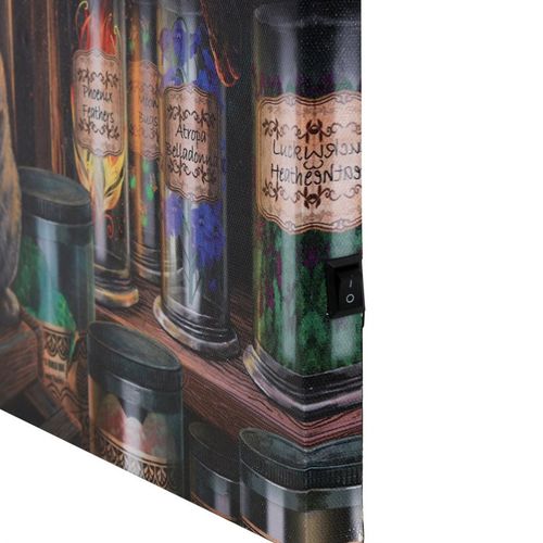 Magical Emporium Light Up Canvas Plaque by Lisa Parker 🇬🇧