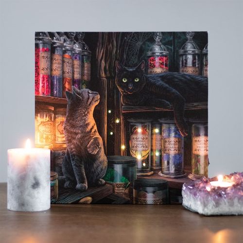 Magical Emporium Light Up Canvas Plaque by Lisa Parker 🇬🇧