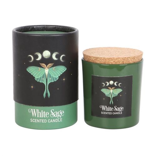 Luna Moth White Sage Candle 🇬🇧