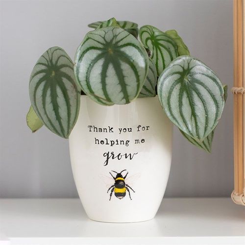 Thank You For Helping Me Grow Ceramic Plant Pot 🇬🇧