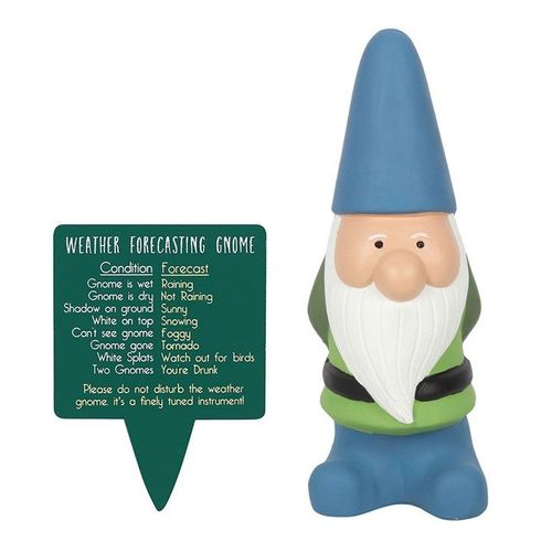 Large Weather Forecasting Gnome 🇬🇧