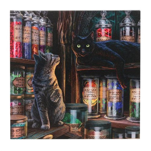 Magical Emporium Light Up Canvas Plaque by Lisa Parker 🇬🇧