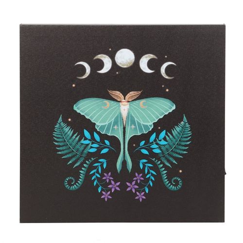 Luna Moth Light Up Canvas Plaque 🇬🇧