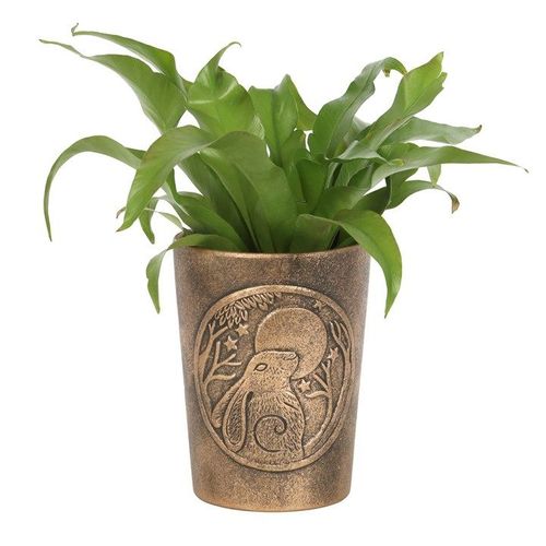 Moon Gazing Hare  Bronze Terracotta Plant Pot by Lisa Parker 🇬🇧