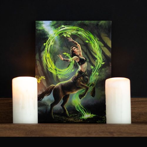 19x25cm Earth Element Sorceress Canvas Plaque by Anne Stokes 🇬🇧