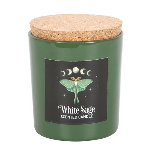 Luna Moth White Sage Candle 🇬🇧